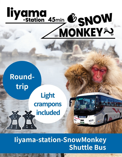 Direct bus from JR Iiyama Station to Snow Monkey Park. Approx 45 mins. Advance reservation required.