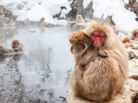 小丸山スキー場